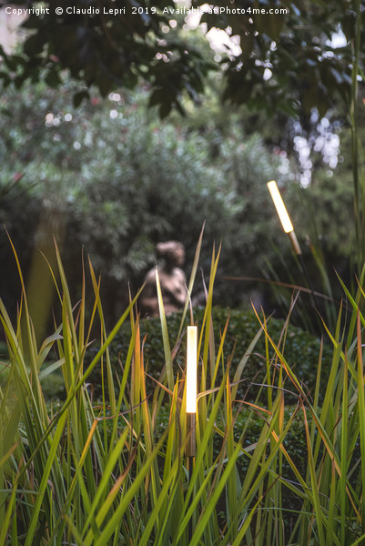 Light Vision in the Garden #2 Vertical Picture Board by Claudio Lepri