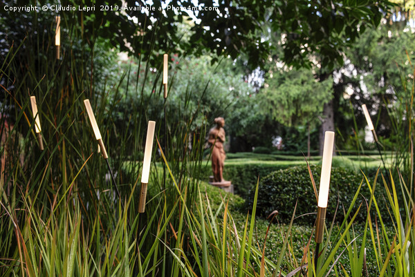 Light Vision in the Garden #3 Picture Board by Claudio Lepri