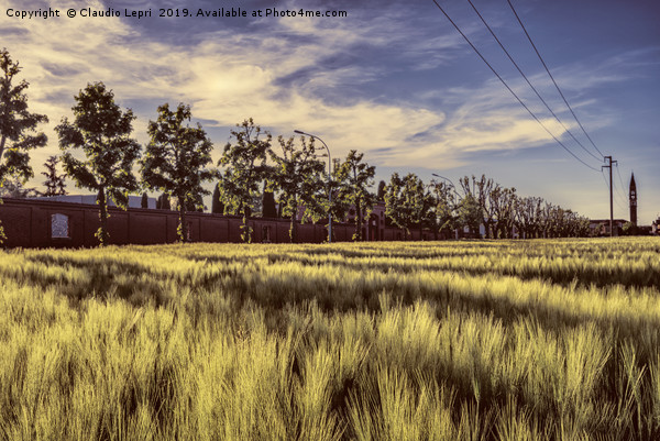 City wheatfield Picture Board by Claudio Lepri