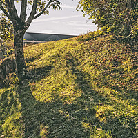 Buy canvas prints of Nature Hill. Steps on green shadow. by Claudio Lepri