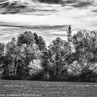 Buy canvas prints of Trees and one bell tower in black and white by Claudio Lepri