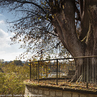 Buy canvas prints of Terrace over the Ticino river by Claudio Lepri