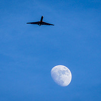 Buy canvas prints of Fly Me To The Moon by Miles Watt