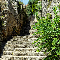 Buy canvas prints of Ancient stone steps with wildflowers by Stephen Robinson
