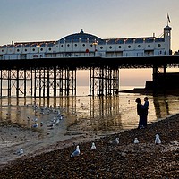 Buy canvas prints of Love Birds on Brighton Beach by robin whitehead