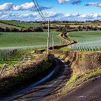 Buy canvas prints of A Winding Road by robin whitehead