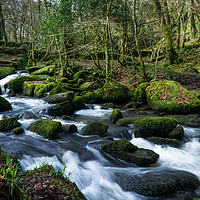 Buy canvas prints of kennal vale woods by craig parkes
