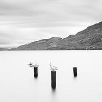 Buy canvas prints of Loch Lomond jetty stumps by Tony Higginson