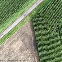 Buy canvas prints of Aerial photograph of a harvested arable land next to a maize field by Frank Heinz
