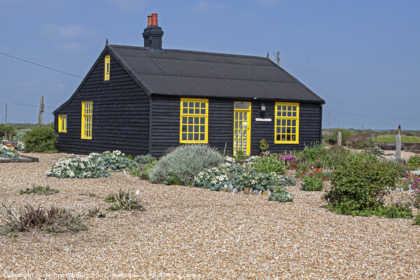 Prospect cottage in Dungeness Kent Picture Board by Jenny Hibbert
