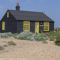 Buy canvas prints of Prospect cottage in Dungeness Kent by Jenny Hibbert