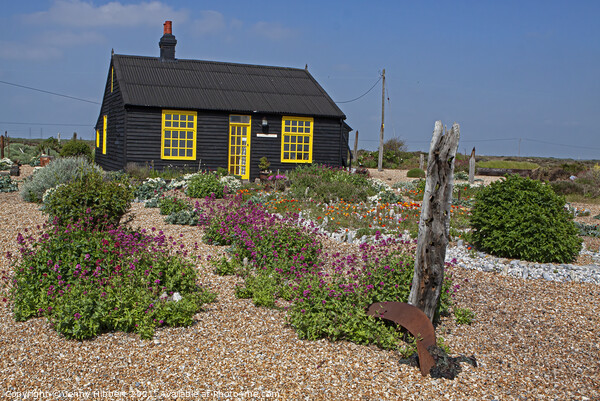 Prospect cottage in Dungeness Romney marsh Kent Picture Board by Jenny Hibbert