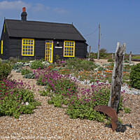 Buy canvas prints of Prospect cottage in Dungeness Romney marsh Kent by Jenny Hibbert