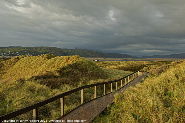 Ynyslas sand dunes Dyfi estuary Ceredigion Wales Picture Board by Jenny Hibbert