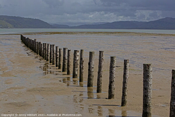 Breakwater posts on Ynylas Nature reserve, looking across Snowdon mountains Picture Board by Jenny Hibbert