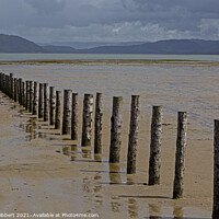 Buy canvas prints of Breakwater posts on Ynylas Nature reserve, looking across Snowdon mountains by Jenny Hibbert