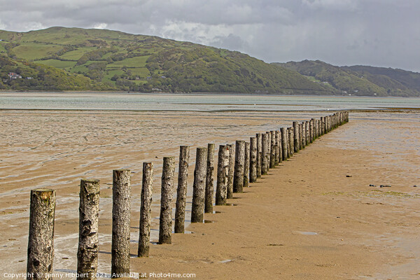 Breakwater posts on Ynyslas sands with Aberdovey in the distance Picture Board by Jenny Hibbert