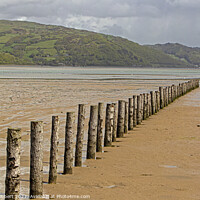Buy canvas prints of Breakwater posts on Ynyslas sands with Aberdovey in the distance by Jenny Hibbert