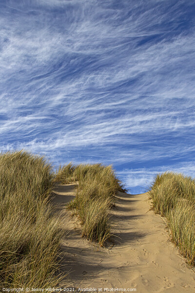 Ynyslas dunes Dyfi Nature Reserve Picture Board by Jenny Hibbert