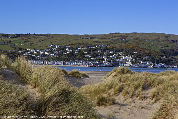 Ynyslas sand dunes covered with Marram grass, looking across the river Dyfi Picture Board by Jenny Hibbert