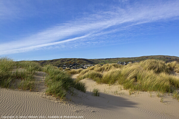 Protected Sand dunes in Ynyslas National Nature Reserve Picture Board by Jenny Hibbert