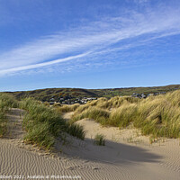 Buy canvas prints of Protected Sand dunes in Ynyslas National Nature Reserve by Jenny Hibbert