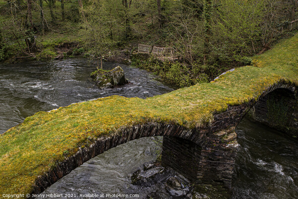 Pont Minllyn two arched bridge Gwynedd Wales Picture Board by Jenny Hibbert