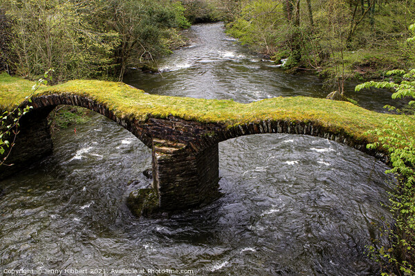 Pont Minllyn a packhorse bridge in Gwynedd Wales Picture Board by Jenny Hibbert