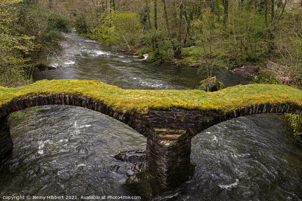 Pont Minllyn packhorse bridge in Mallwyd Gwynedd Picture Board by Jenny Hibbert