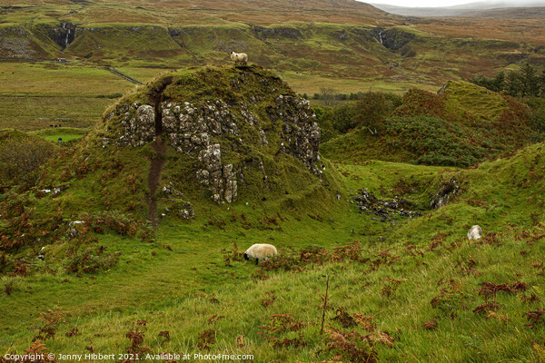 Hill in Fairy Glen Isle of Skye Picture Board by Jenny Hibbert