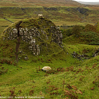 Buy canvas prints of Hill in Fairy Glen Isle of Skye by Jenny Hibbert