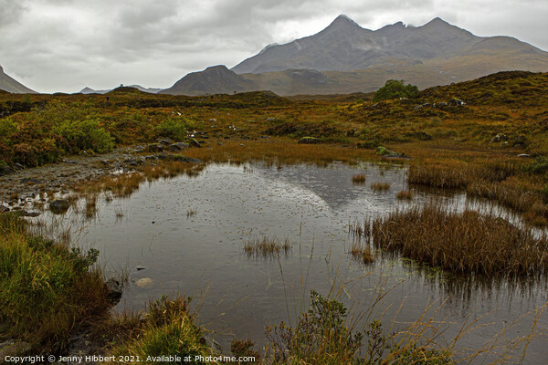 Pond next to Sligachan bridge with the Cuillin mountains in the distance Picture Board by Jenny Hibbert