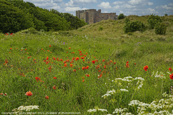 Bamburgh Castle in Northumberland Picture Board by Jenny Hibbert