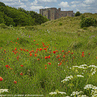 Buy canvas prints of Bamburgh Castle in Northumberland by Jenny Hibbert