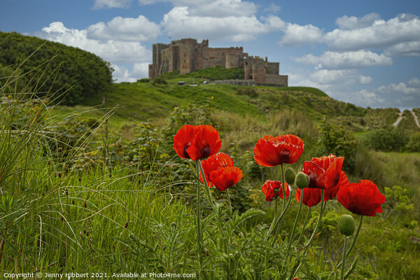 Bamburgh castle in the summer with the poppies Picture Board by Jenny Hibbert