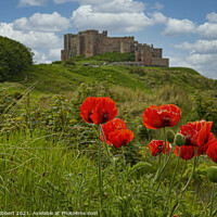 Buy canvas prints of Bamburgh castle in the summer with the poppies by Jenny Hibbert