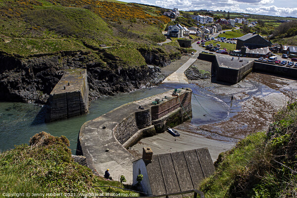 Looking over Porthgain harbour Pembrokeshire Picture Board by Jenny Hibbert