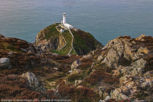 South Stack Lighthouse Anglesey North Wales Picture Board by Jenny Hibbert