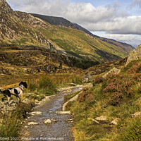 Buy canvas prints of Cwm Idwal North Wales by Jenny Hibbert