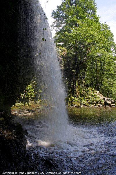 Portrait view of Sgwd Gwladys waterfall Neath, Picture Board by Jenny Hibbert