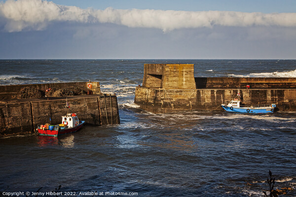 Craster Harbour Northumberland Picture Board by Jenny Hibbert