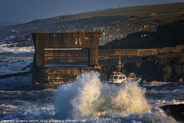 Craster harbour Northumberland, during stormy weather Picture Board by Jenny Hibbert