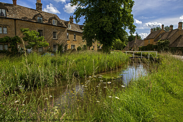 View of Lower Slaughter village in the Cotswolds Picture Board by Jenny Hibbert