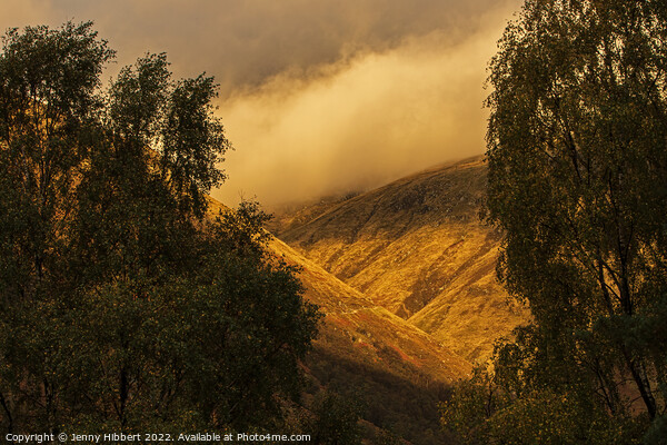 Magical autumn light at Ben Nevis Scotland Picture Board by Jenny Hibbert