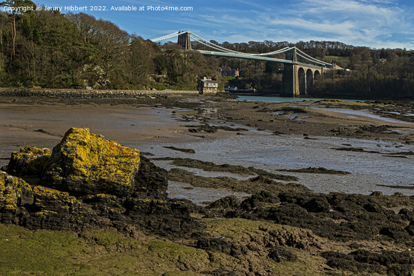 View of Menai Bridge Anglesey North Wales Picture Board by Jenny Hibbert
