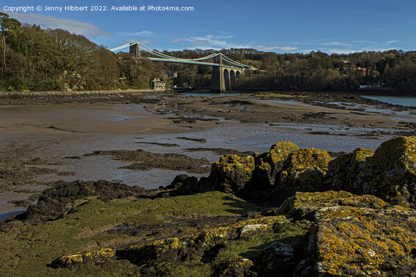 Scenic view of Menai Bridge Isle of Anglesey Picture Board by Jenny Hibbert