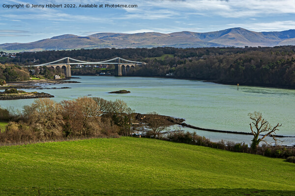 Taking in the view of the Menai Straits  Picture Board by Jenny Hibbert