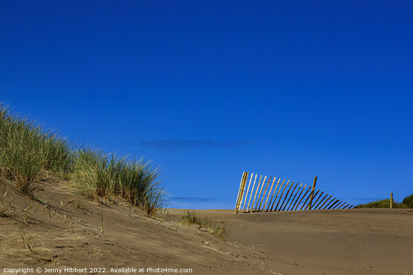 Fence on sand dune at Barmouth beach, Gwynedd Picture Board by Jenny Hibbert