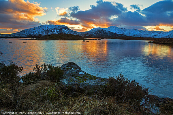 Loch on Rannoch Moor at sunset Highlands of Scotland Picture Board by Jenny Hibbert