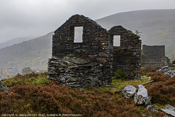Remains of a building in Penmachno slate quarry North Wales Picture Board by Jenny Hibbert